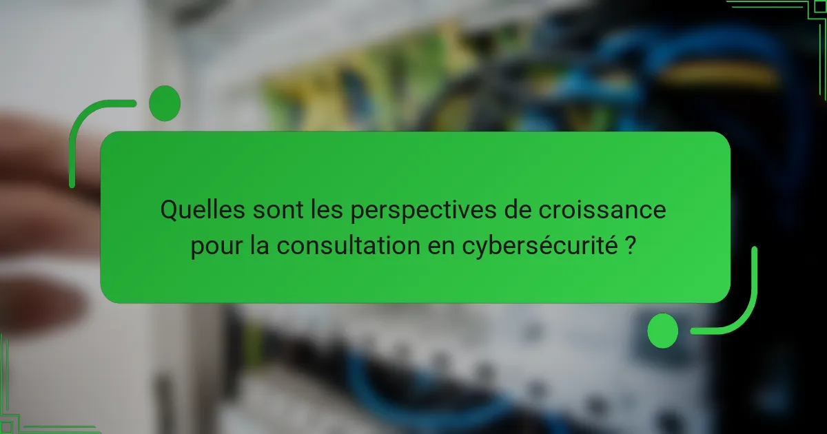 Quelles sont les perspectives de croissance pour la consultation en cybersécurité ?